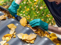 Gutter Cleaning